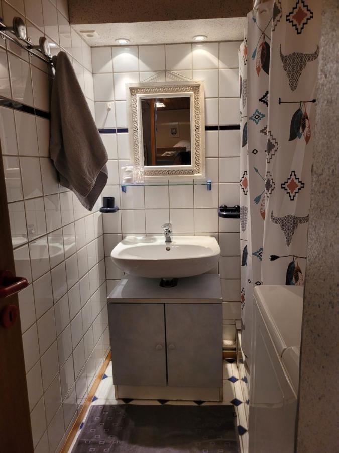 Appartement Chaleureux Au Coeur Des Hautes Vosges Ventron Exterior photo